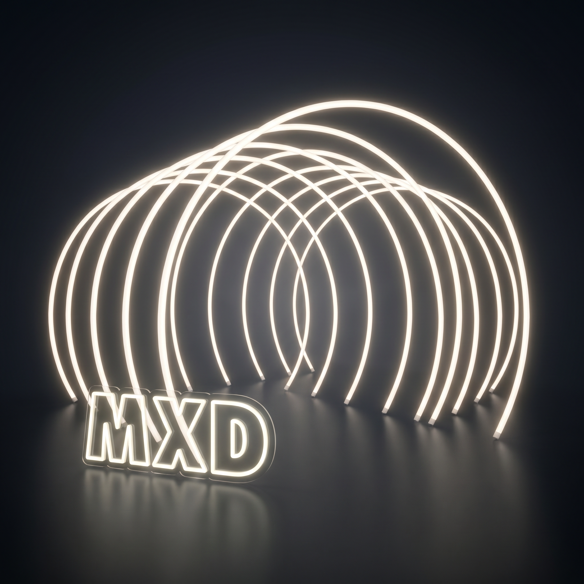 LED Arch Tunnel (Neoflex)