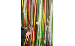 Ribbon Curtain (Entrance or Photo)